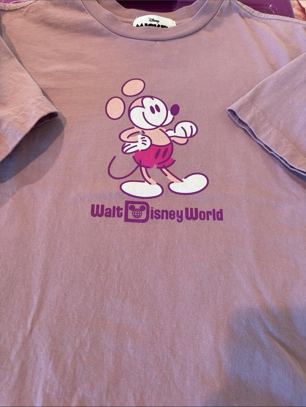 Walt Disney World Mickey Graphic Tee - Dusty Mauve